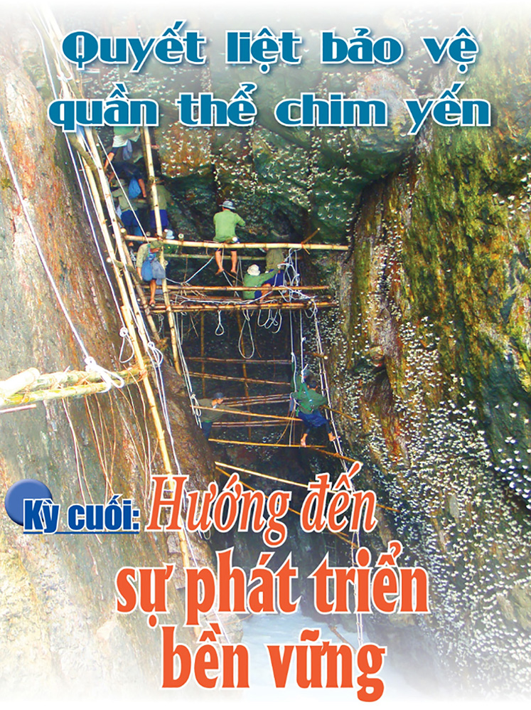 Quyết liệt bảo vệ quần thể chim yến - Kỳ cuối: Hướng đến sự phát triển bền vững