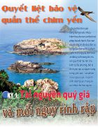 Quyết liệt bảo vệ quần thể chim yến - Kỳ 1: Tài nguyên quý giá và mối nguy rình rập