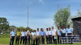 TĂNG CƯỜNG KIỂM TRA, KIÊN QUYẾT XỬ LÝ BẪY BẮT CHIM YẾN TẠI NINH HOÀ