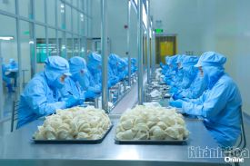 CÔNG TY TNHH NHÀ NƯỚC MỘT THÀNH VIÊN YẾN SÀO KHÁNH HÒA: CHINH PHỤC CÁC THỊ TRƯỜNG LỚN