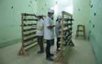 Công ty Yến sào Khánh Hòa: Đưa nghề nuôi chim yến phát triển bền vững
